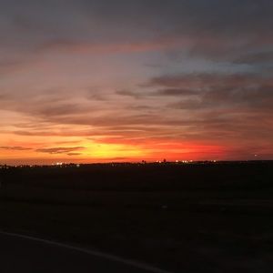 Meet your Posher, Sammy